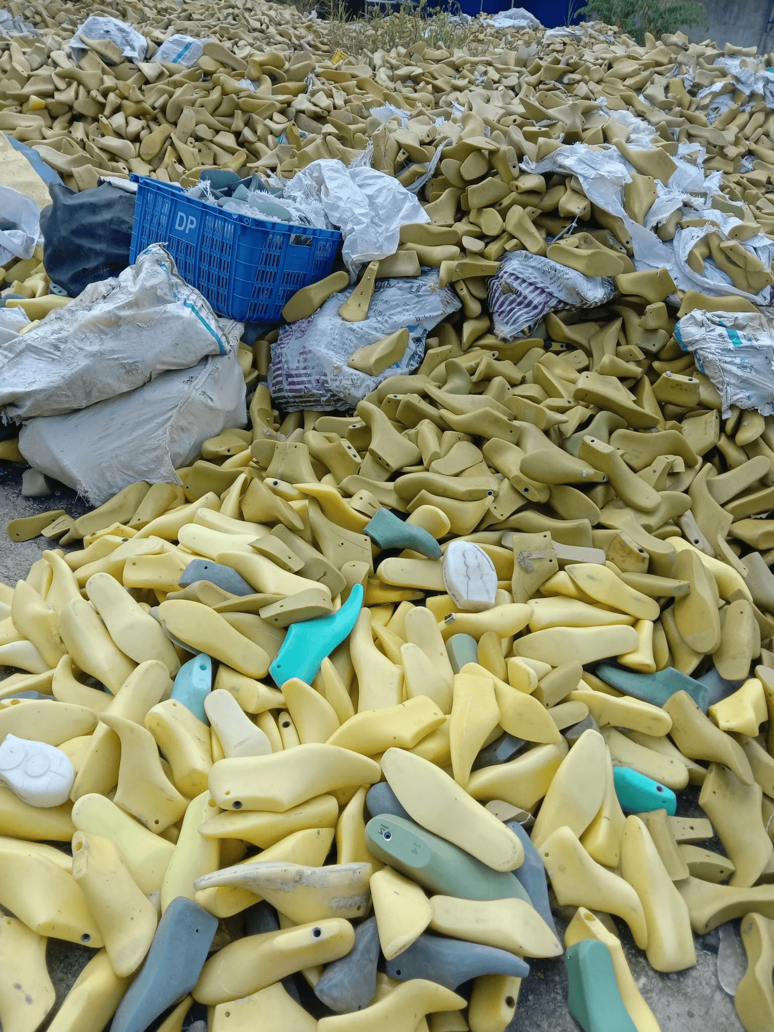Form giày cũ cần thu mua